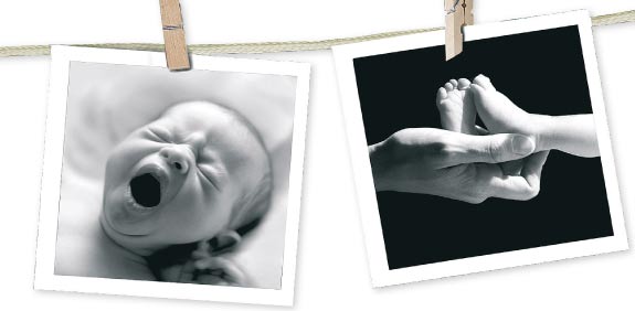 אלבום תמונות דיגיטלי / צלם: Phase4Photography/Shutterstock.com. א.ס.א.פ קראייטיב